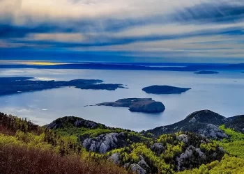 8161c4_59d172ff6bcf4edd9aa05935ffbaaad9~mv2